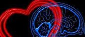 CORPO ED EMOZIONI, SENTIRE IL CORPO