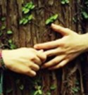 “La Bioenergetica di Bennet Shapiro: Abbracciamo la nostra Forza Vitale” 